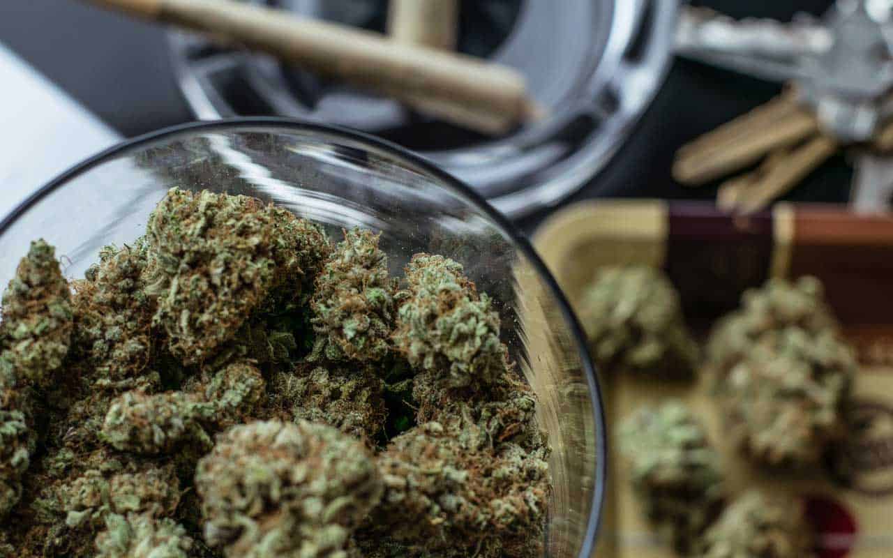 Premium cannabis vs Affordable Weed | BudsByMail Canada