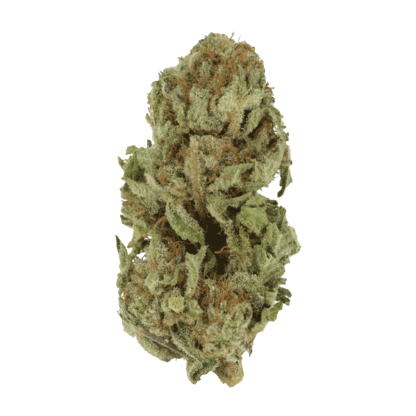 Golden Goat | BudsByMail Canada