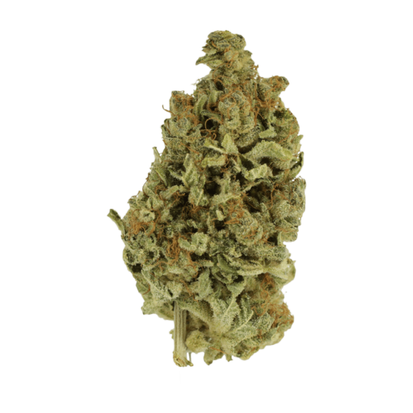 Cali Gold | BudsByMail Canada