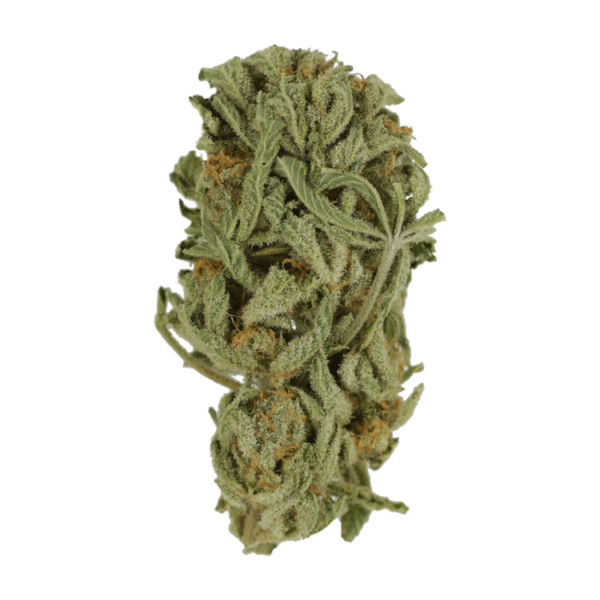 Master Kush Ultra | BudsByMail Canada