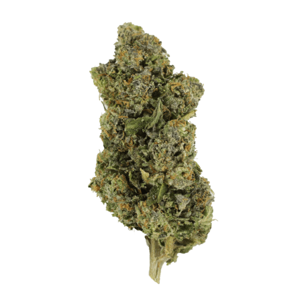 Jokerz | BudsByMail Canada