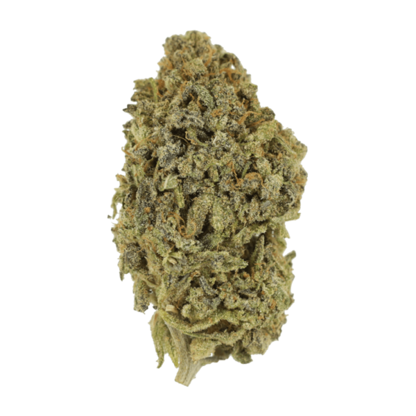 Watermelon Gelato | BudsByMail Canada