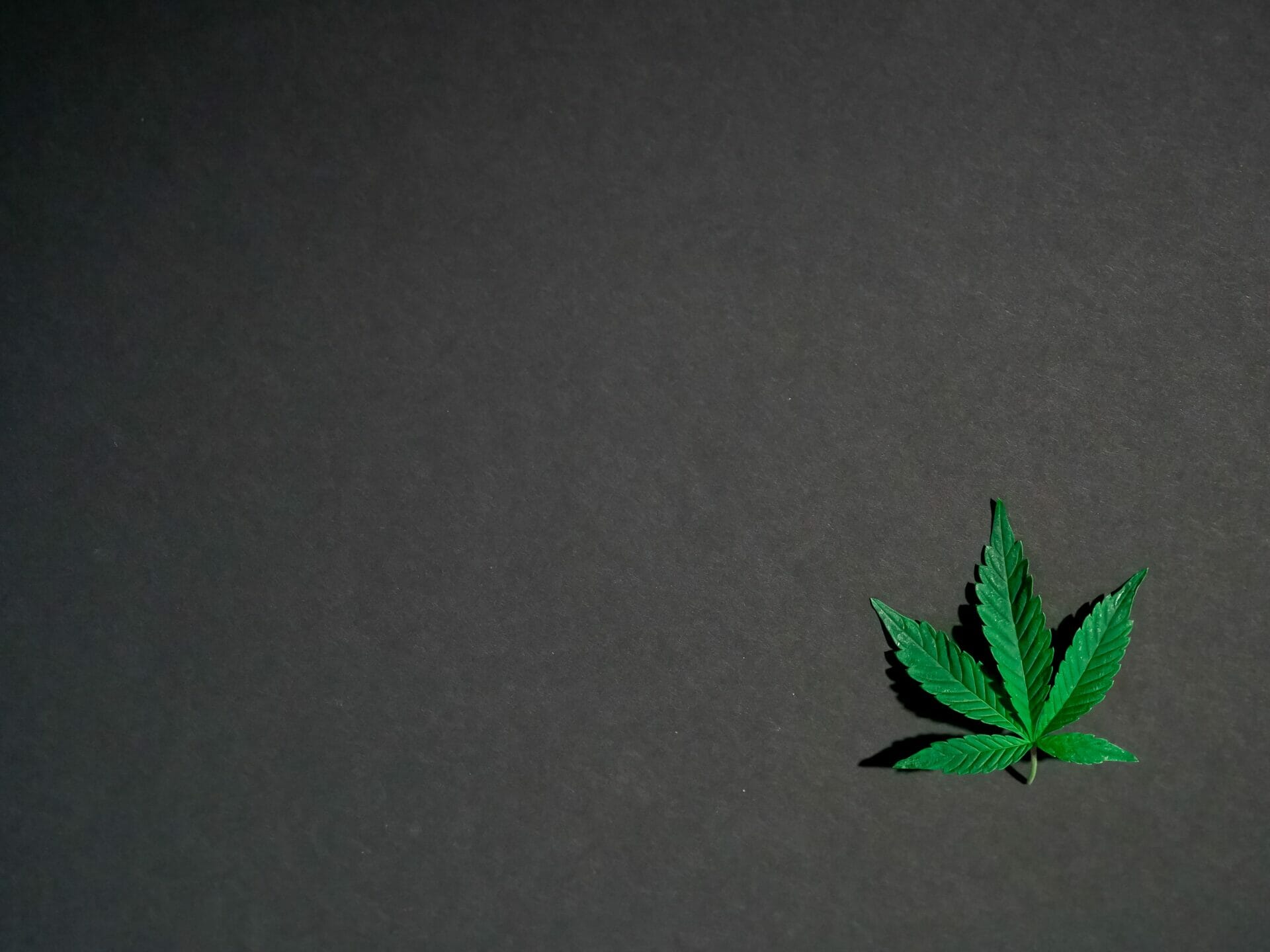 Hybrid - weed | BudsByMail Canada