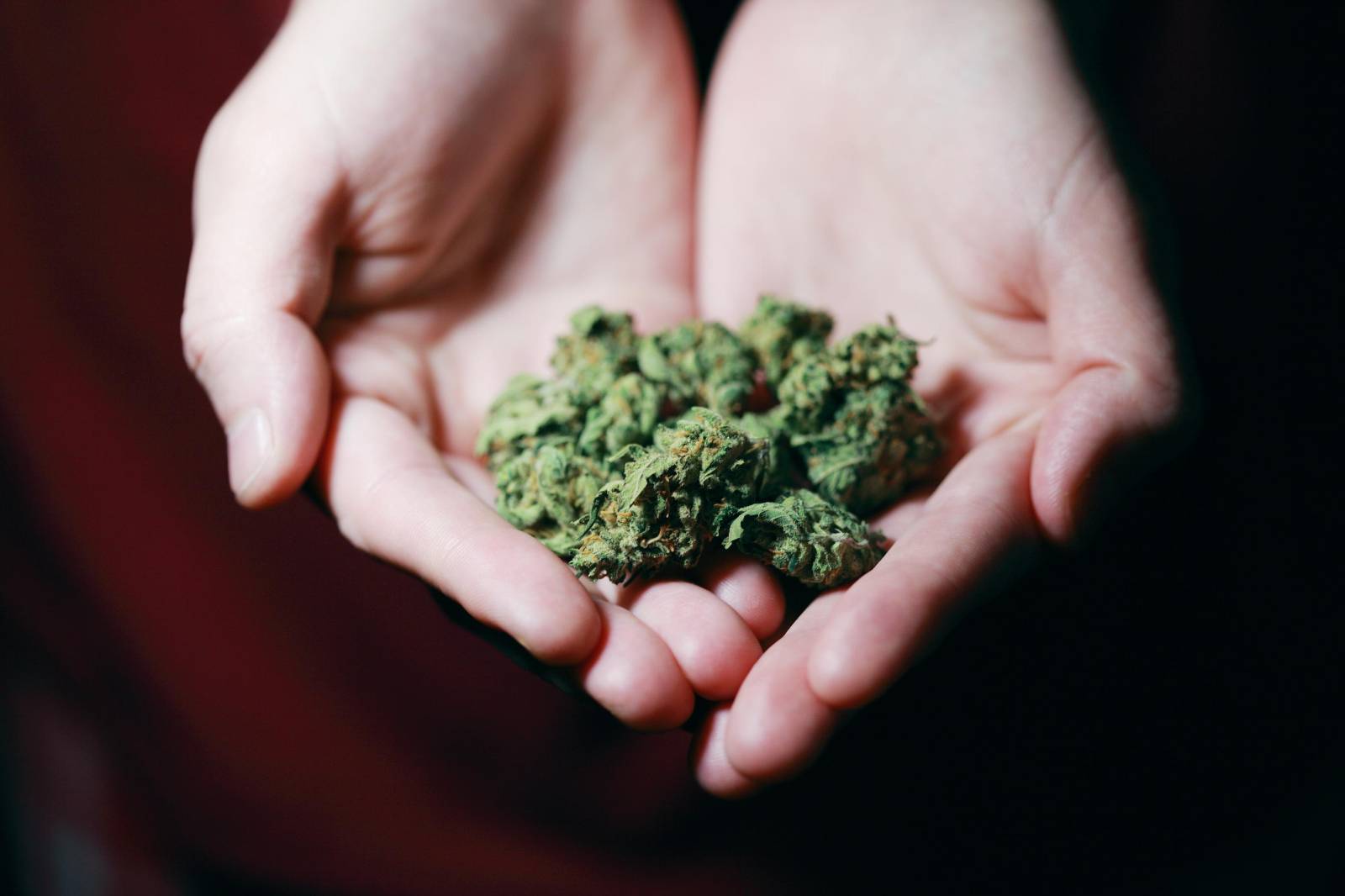 Best dispensary in canada | BudsByMail Canada