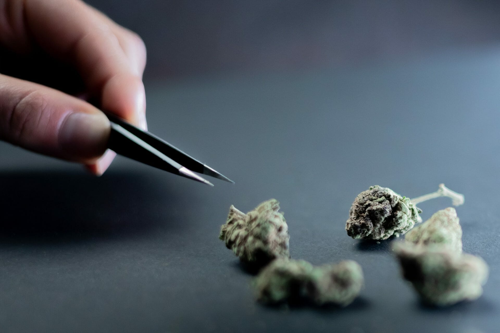 Buy cannabis Online Canada | BudsByMail Canada