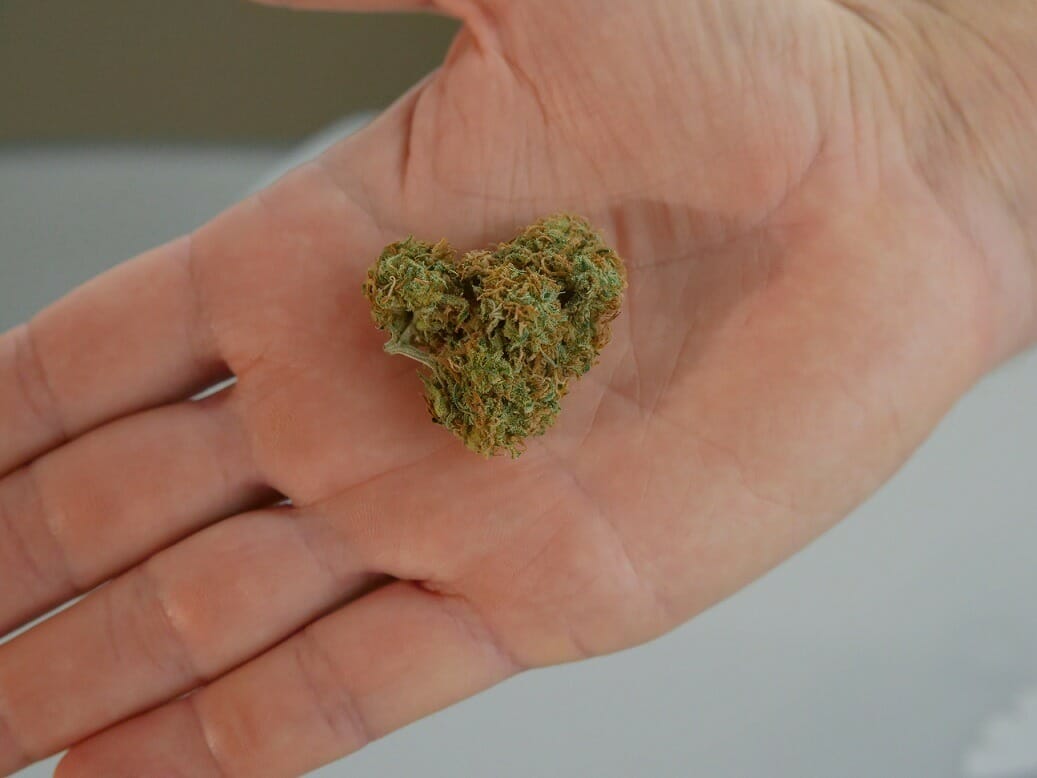 cannabis marijuana Canada | BudsByMail Canada