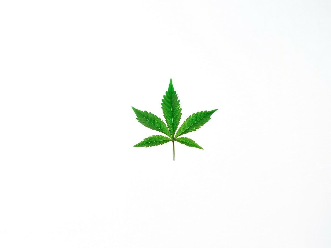 Benefits of Shopping in a BC cannabis Online Dispensary | BudsByMail Canada