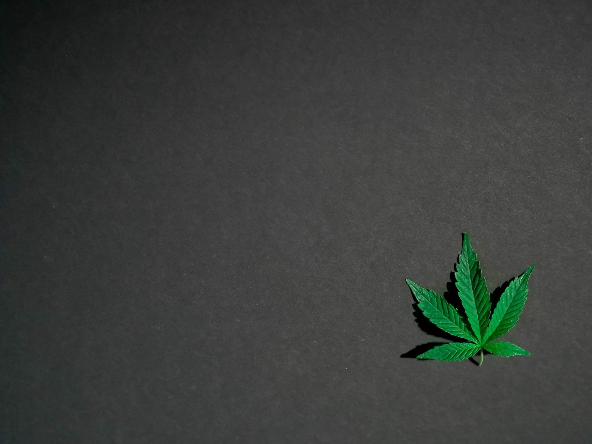 | BudsByMail Canada Hybrid Weed | BudsByMail Canada