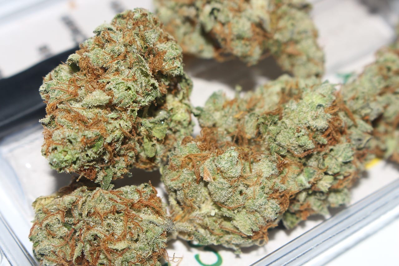 Hybrid cannabis Strains | BudsByMail Canada